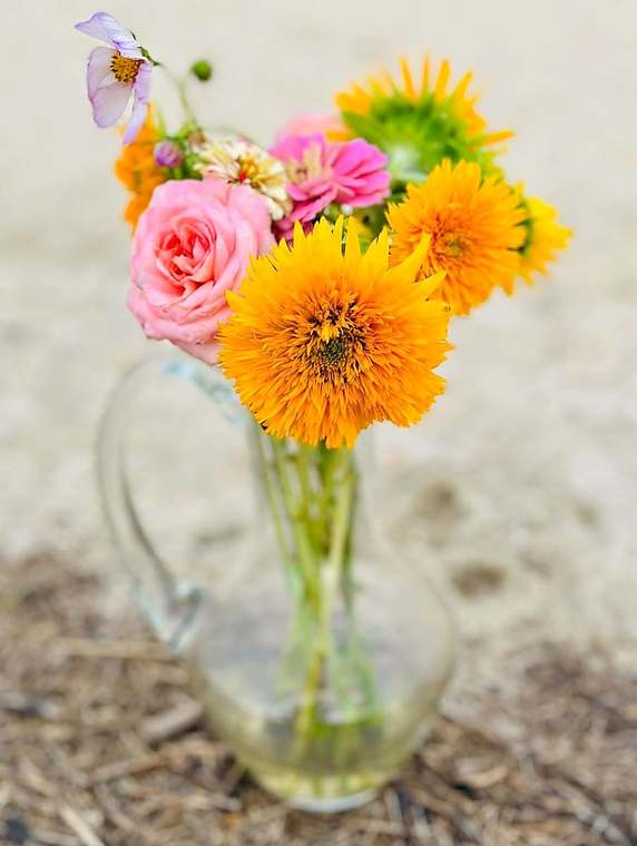 Seasonal Cut Flowers