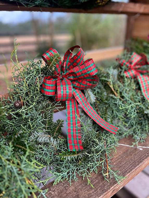 Evergreen wreaths with plaid bows