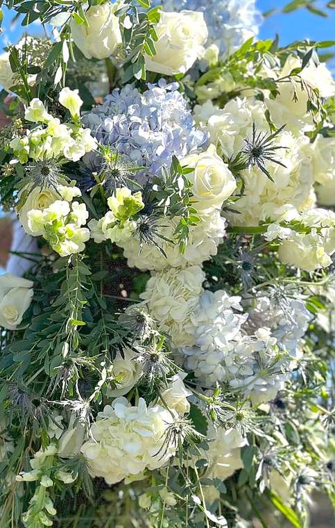Arch arrangement of white roses, blue hydrangea & snapdragons